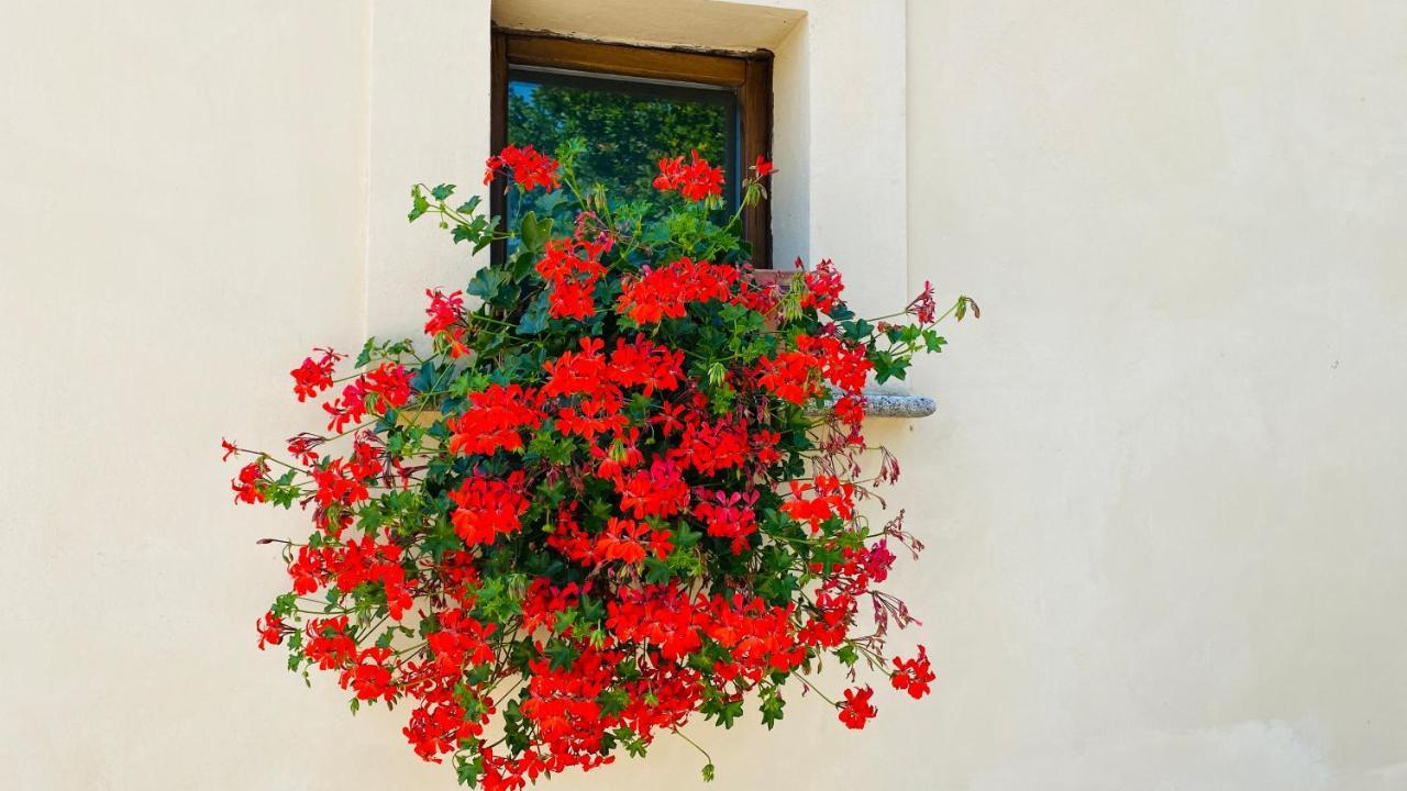 Locanda Cacio Re Hotel Vallo di Nera Exterior photo